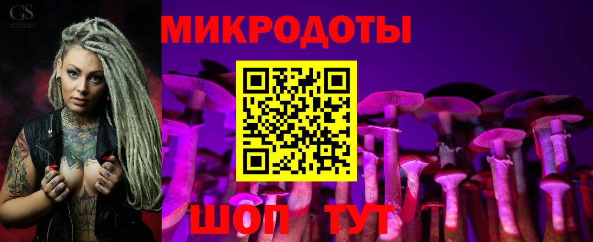 Галлюциногенные грибы Cubensis Заречный